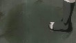 ns 1720080.jpg